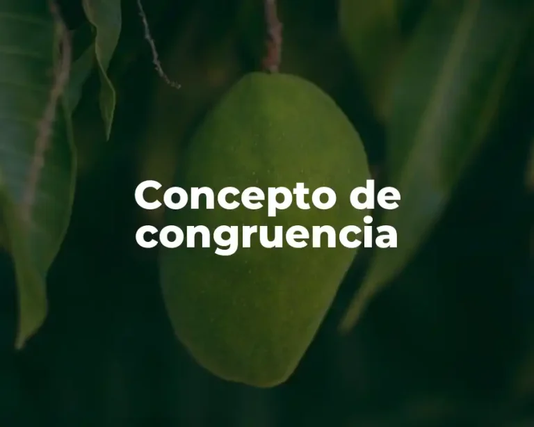 Concepto de congruencia