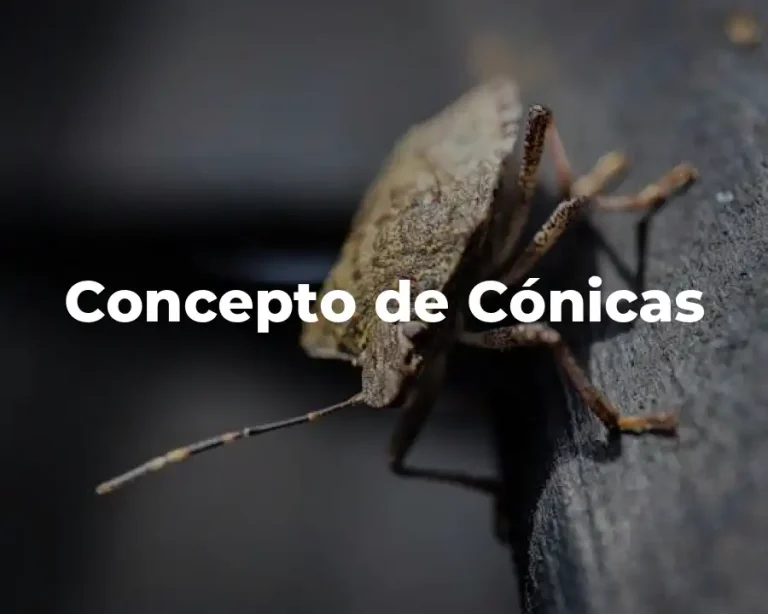 Concepto de Cónicas