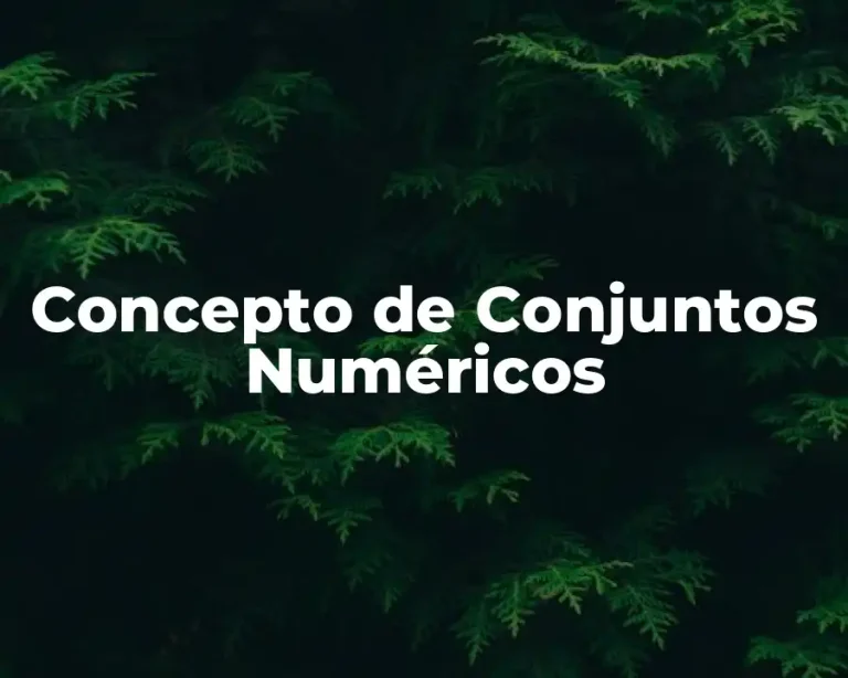 Concepto de Conjuntos Numéricos
