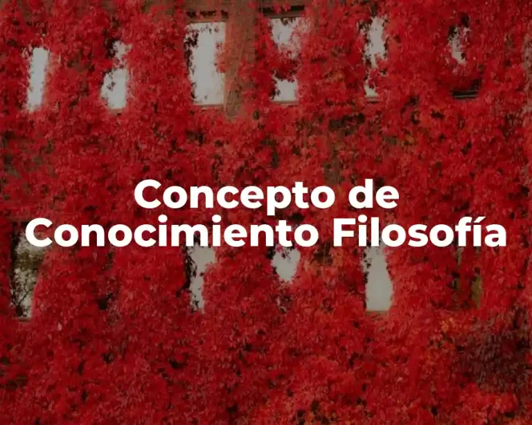 Concepto de Conocimiento Filosofía