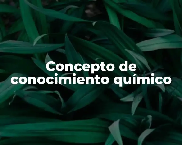 Concepto de conocimiento químico