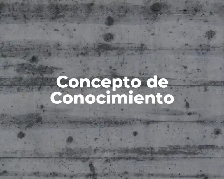 Concepto de Conocimiento