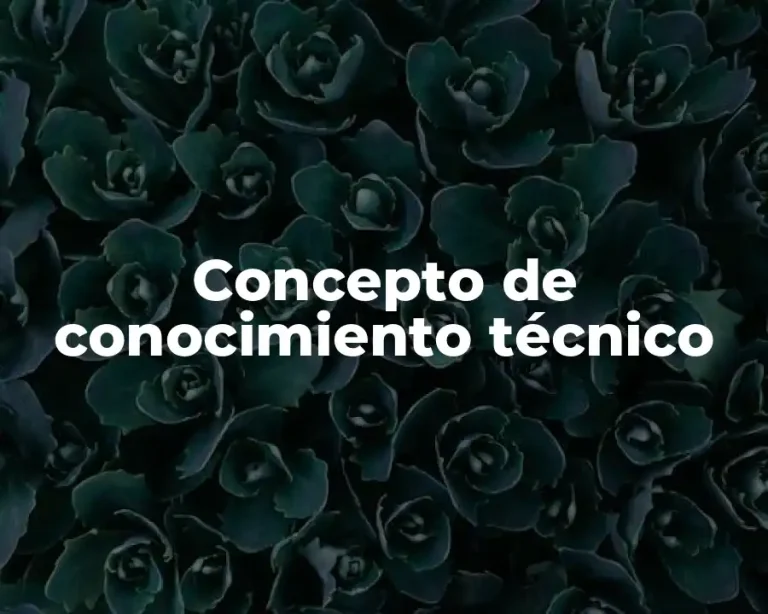 Concepto de conocimiento técnico
