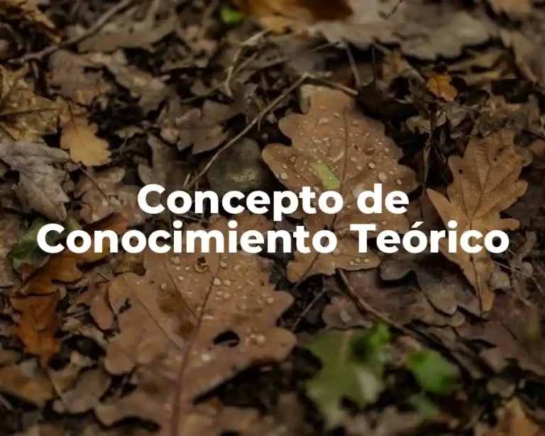 Concepto de Conocimiento Teórico