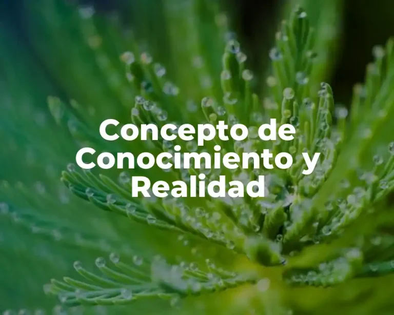 Concepto de Conocimiento y Realidad