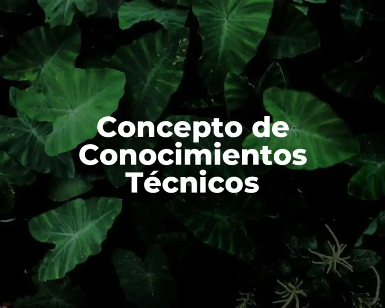 Concepto de Conocimientos Técnicos