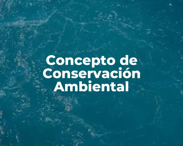 Concepto de Conservación Ambiental
