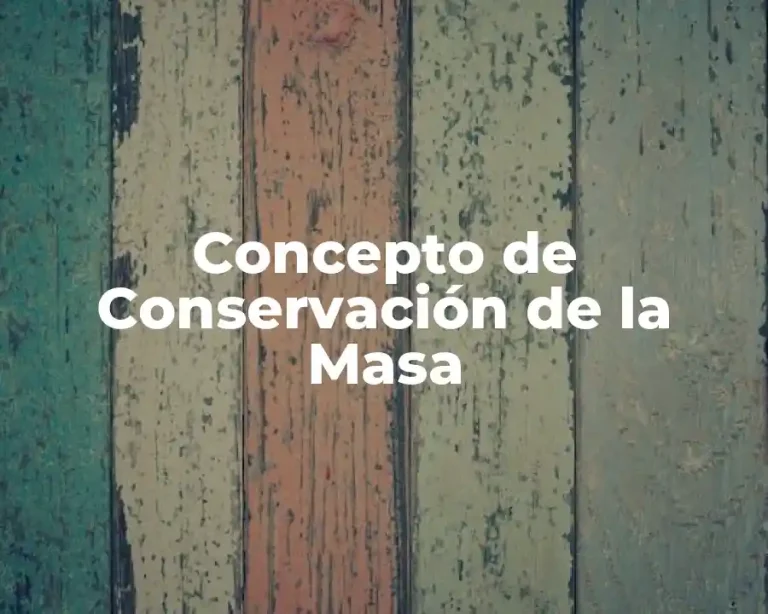 Concepto de Conservación de la Masa