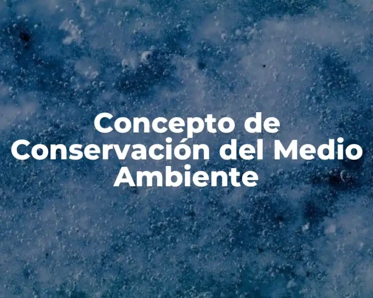 Concepto de Conservación del Medio Ambiente