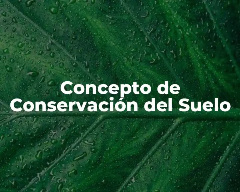 Concepto de Conservación del Suelo