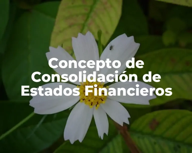 Concepto de Consolidación de Estados Financieros