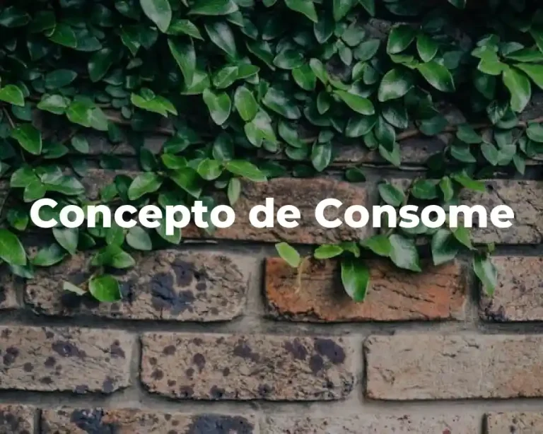 Concepto de Consome