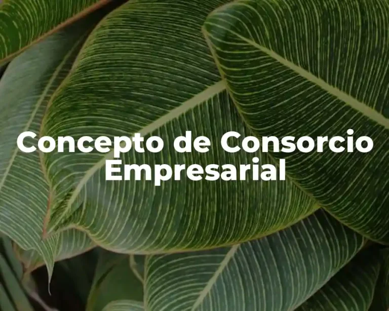 Concepto de Consorcio Empresarial