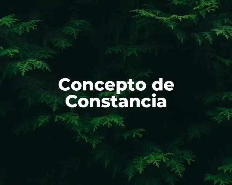 Concepto de Constancia