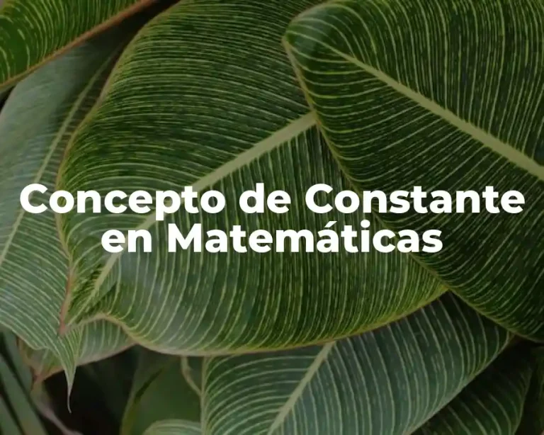 Concepto de Constante en Matemáticas