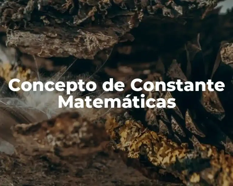 Concepto de Constante Matemáticas