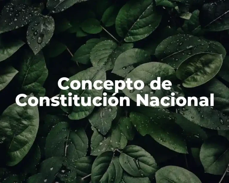 Concepto de Constitución Nacional