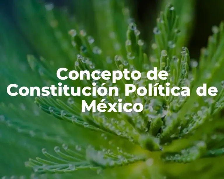 Concepto de Constitución Política de México