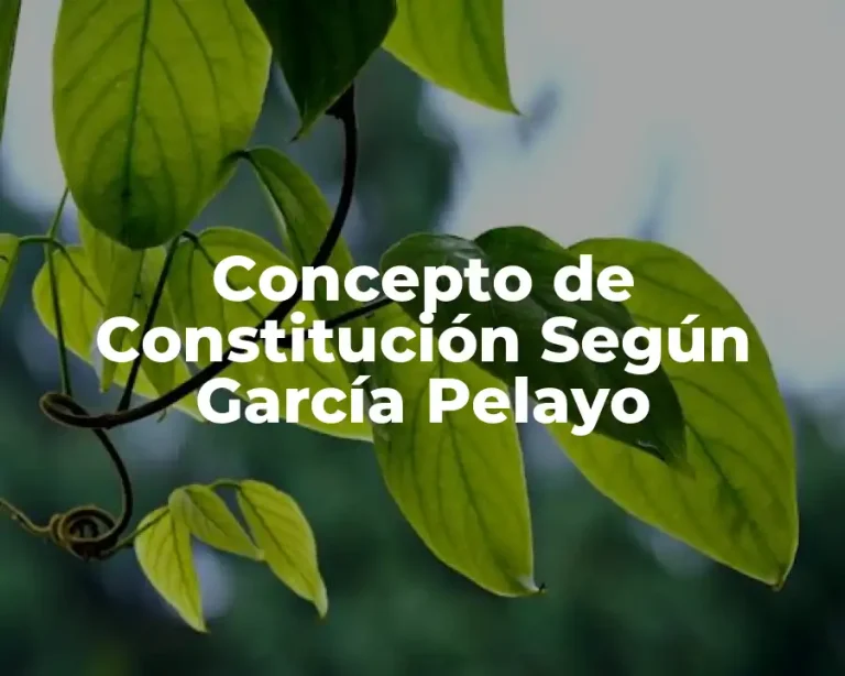 Concepto de Constitución Según García Pelayo