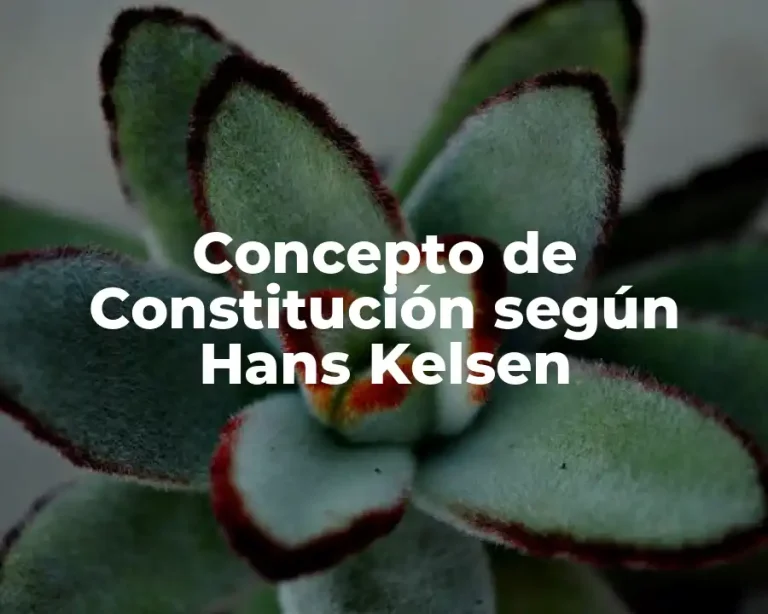 Concepto de Constitución según Hans Kelsen