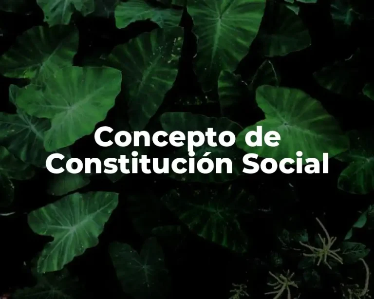 Concepto de Constitución Social