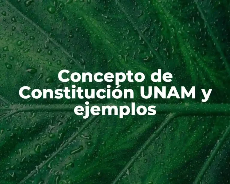 Concepto de Constitución UNAM y ejemplos