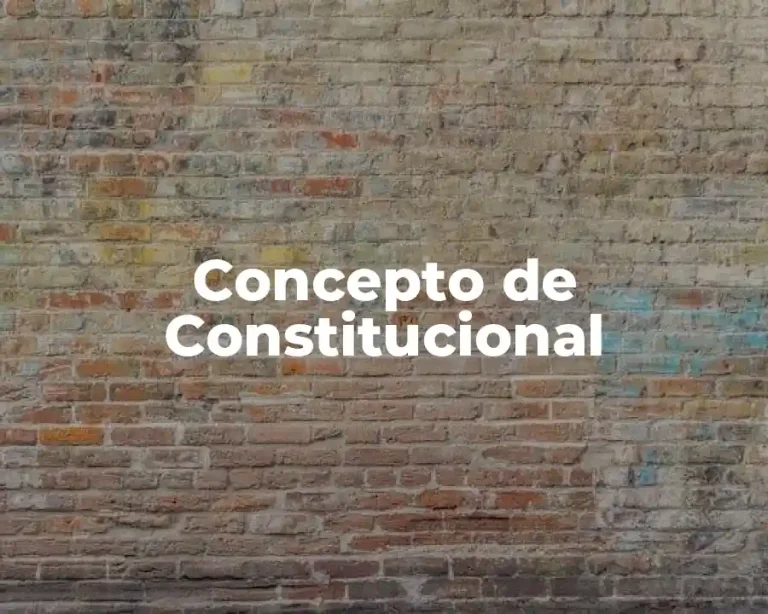 Concepto de Constitucional
