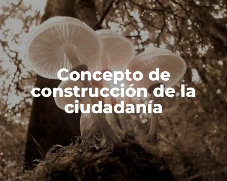 Concepto de construcción de la ciudadanía
