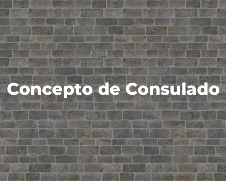 Concepto de Consulado