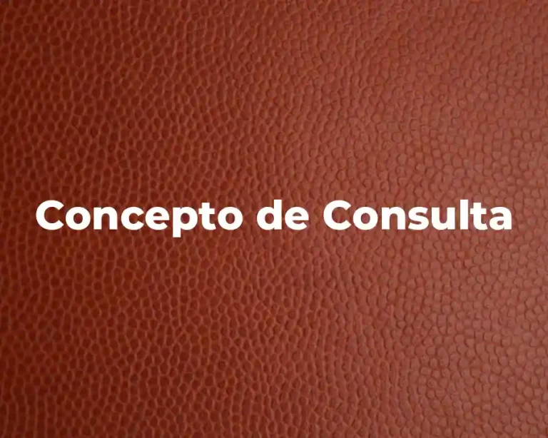Concepto de Consulta