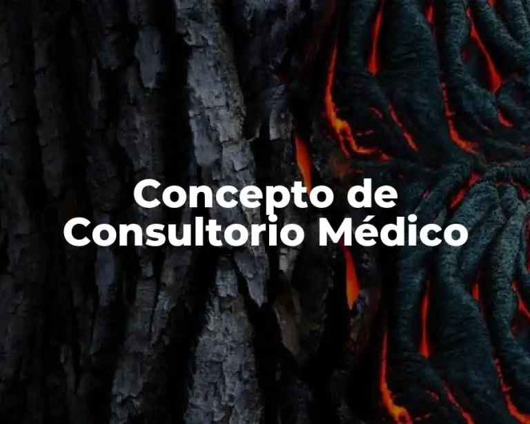 Concepto de Consultorio Médico