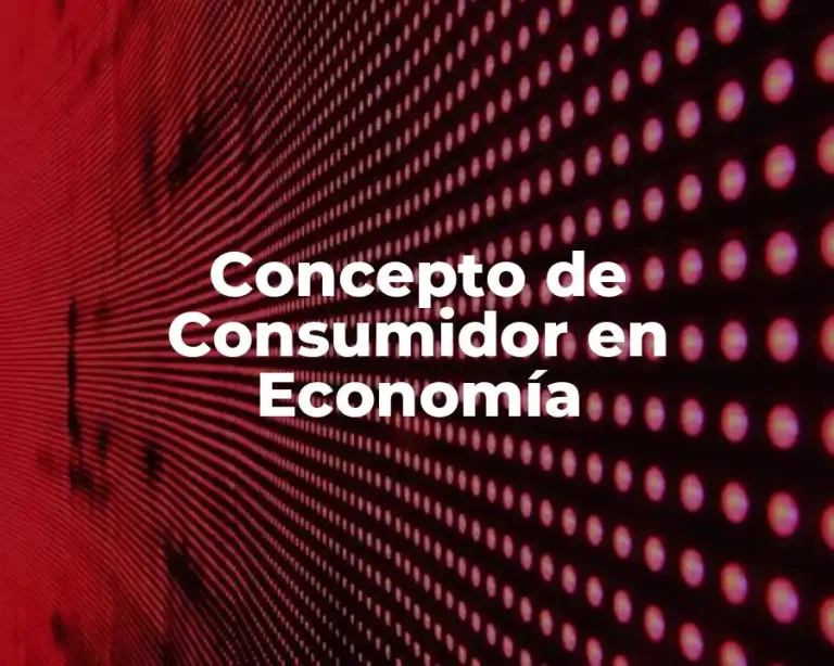 Concepto de Consumidor en Economía