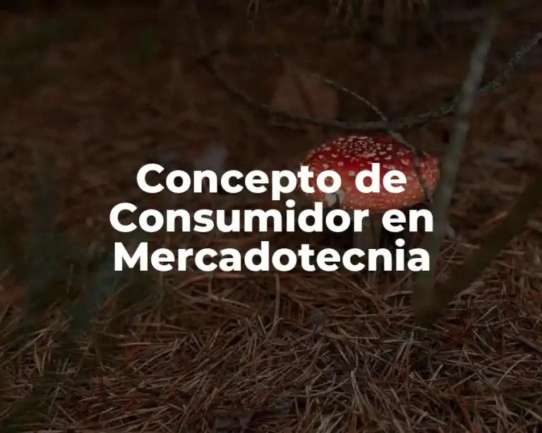 Concepto de Consumidor en Mercadotecnia