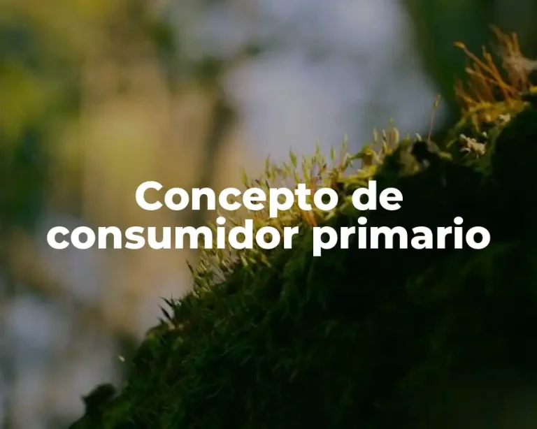 Concepto de consumidor primario