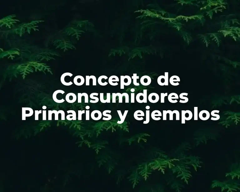 Concepto de Consumidores Primarios y ejemplos