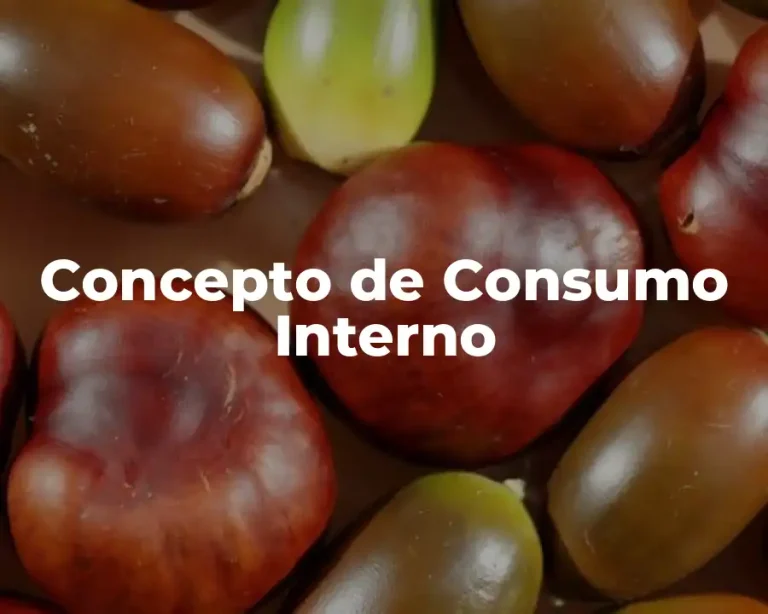 Concepto de Consumo Interno