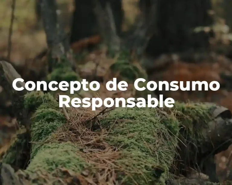 Concepto de Consumo Responsable