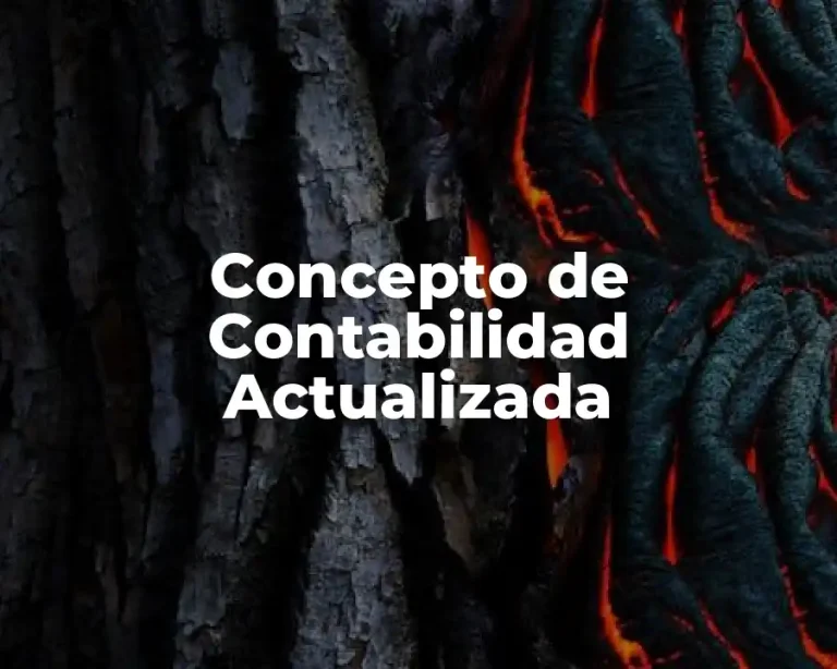 Concepto de Contabilidad Actualizada