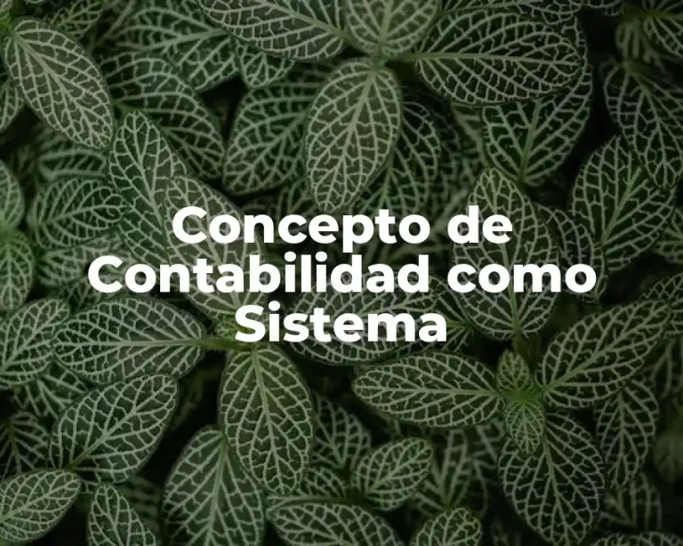 Concepto de Contabilidad como Sistema