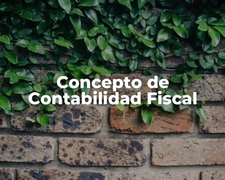 Concepto de Contabilidad Fiscal