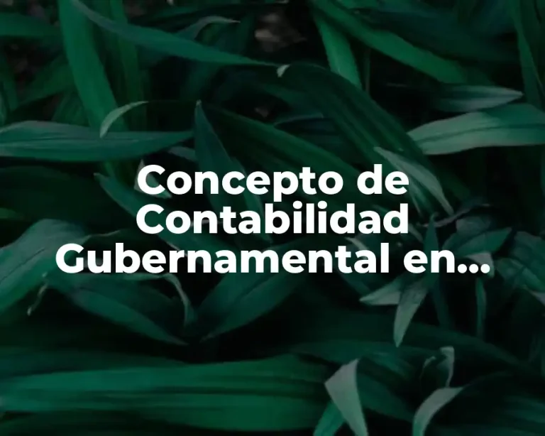 Concepto de Contabilidad Gubernamental en México