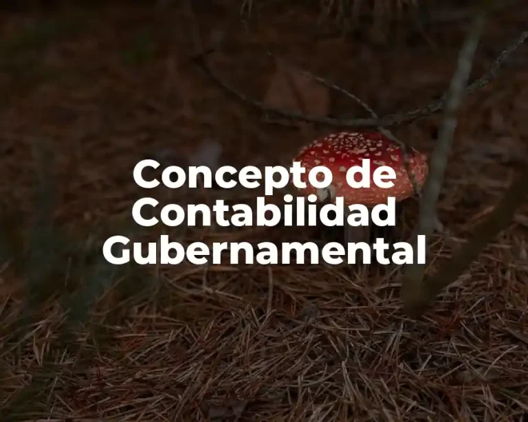 Concepto de Contabilidad Gubernamental