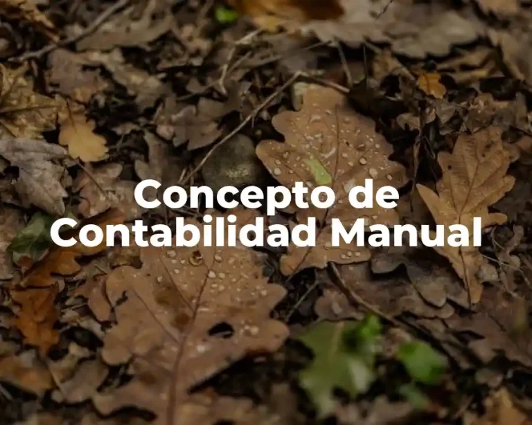Concepto de Contabilidad Manual