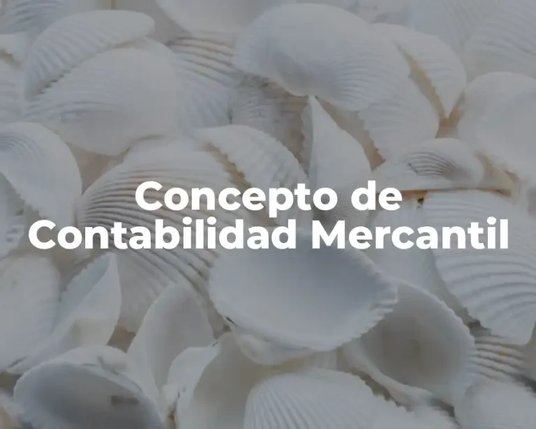 Concepto de Contabilidad Mercantil