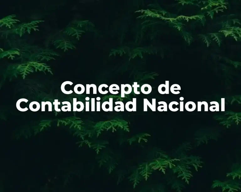 Concepto de Contabilidad Nacional
