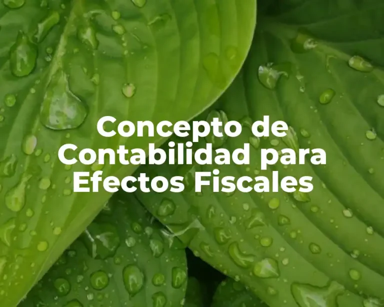 Concepto de Contabilidad para Efectos Fiscales