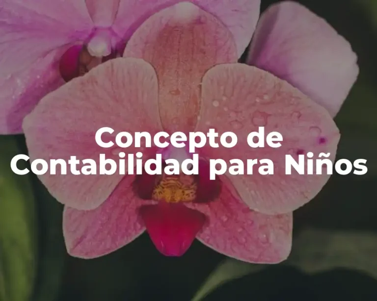 Concepto de Contabilidad para Niños
