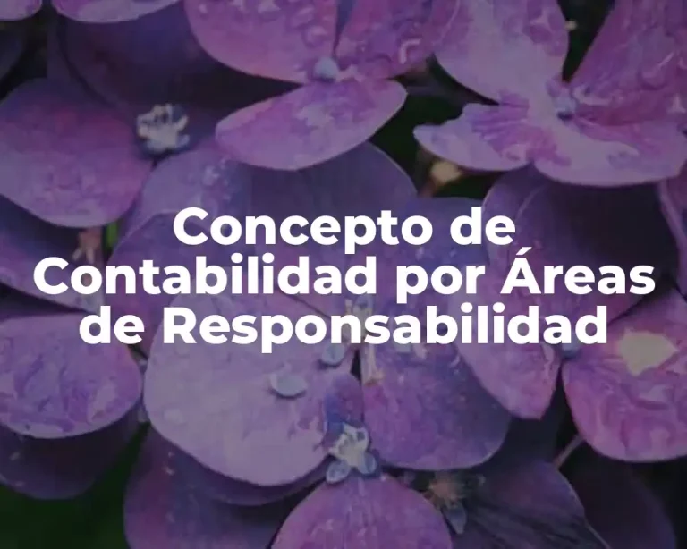 Concepto de Contabilidad por Áreas de Responsabilidad