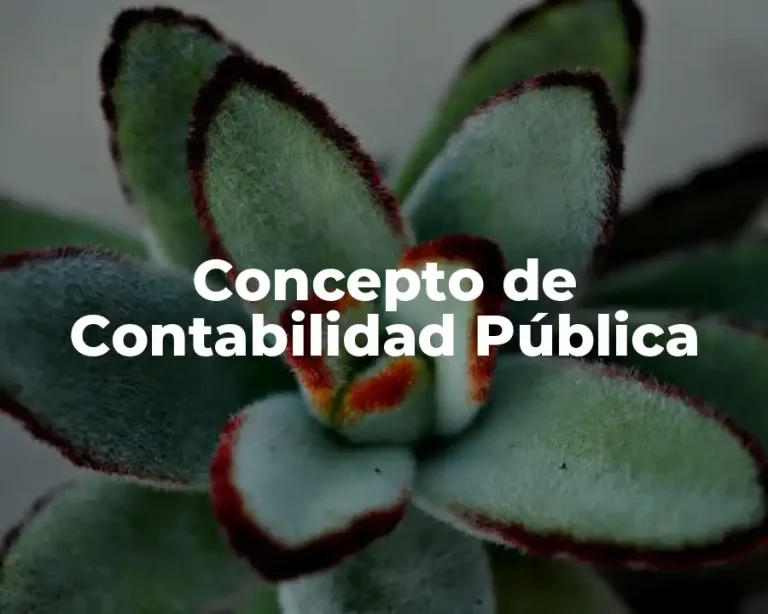 Concepto de Contabilidad Pública