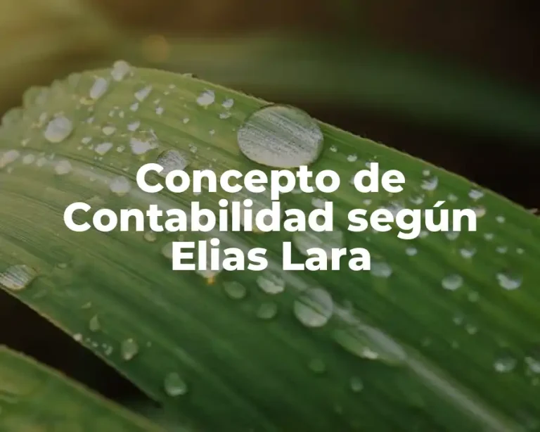 Concepto de Contabilidad según Elias Lara